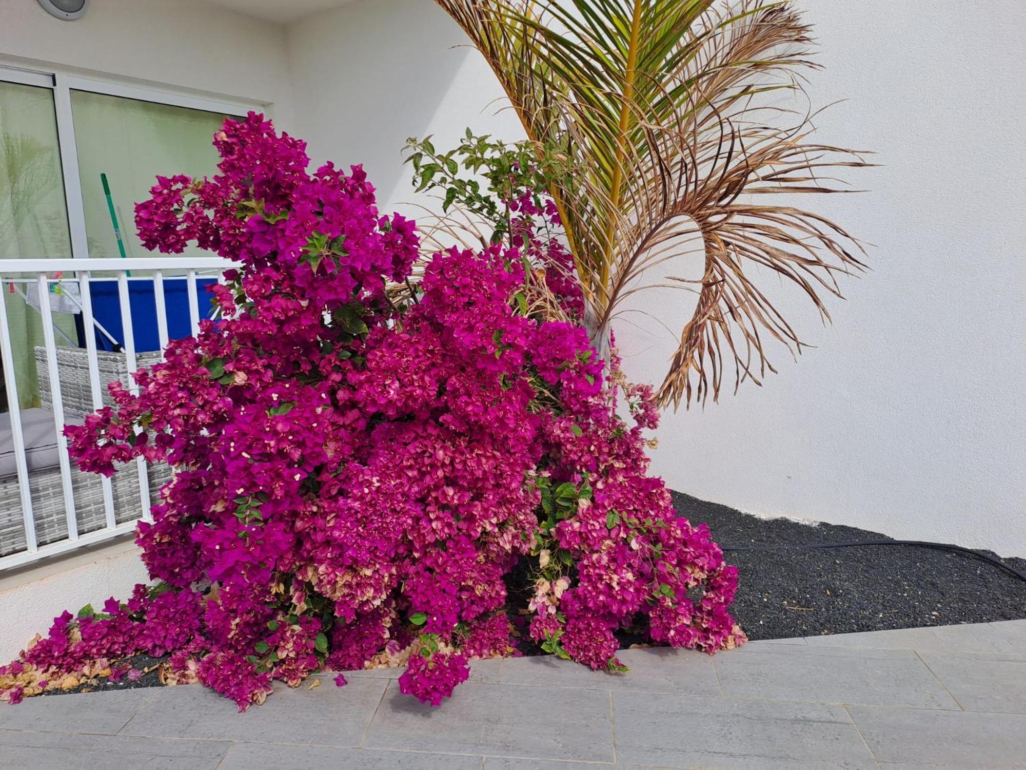 Luxury Sea View Senator Lanzarote Daire Costa Teguise Dış mekan fotoğraf